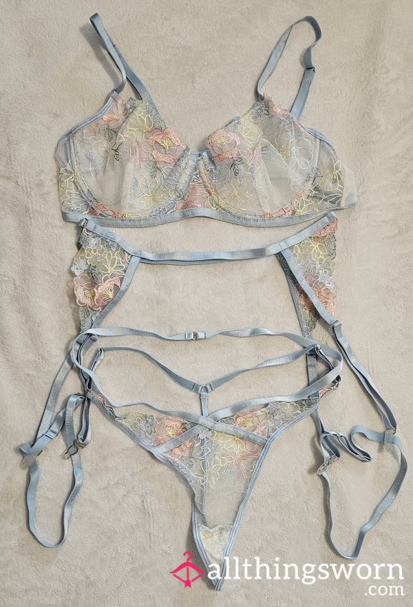 Lingerie: Powder-blue Embroidered Mesh Set