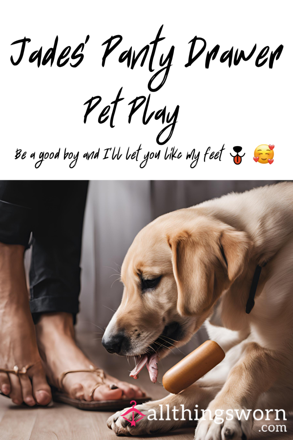 Live Pet Play Session