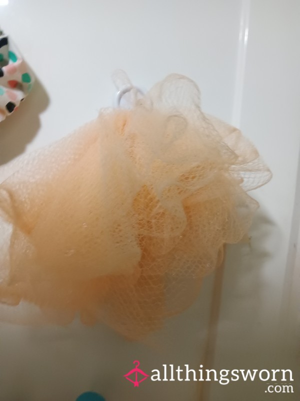 Loofa Very Well Used