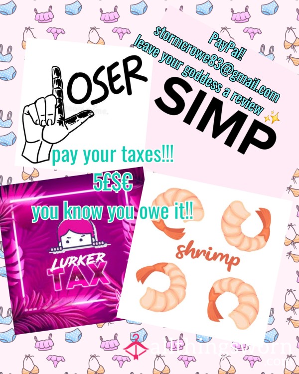 Loser Lurker Shrimp Simp And Sissy Taxes Pay Up