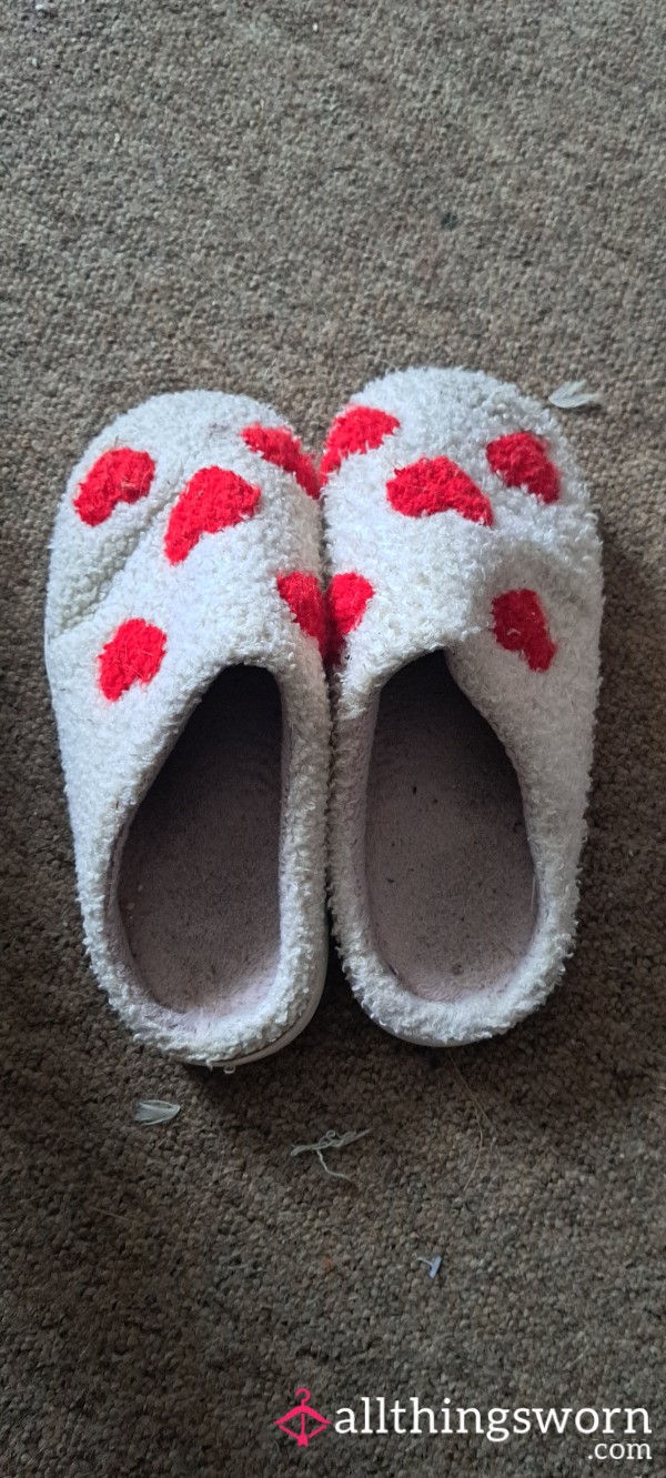 Love Heart Slippers Stinky & Well Loved