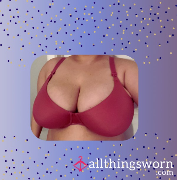 Magenta Bra 40DD