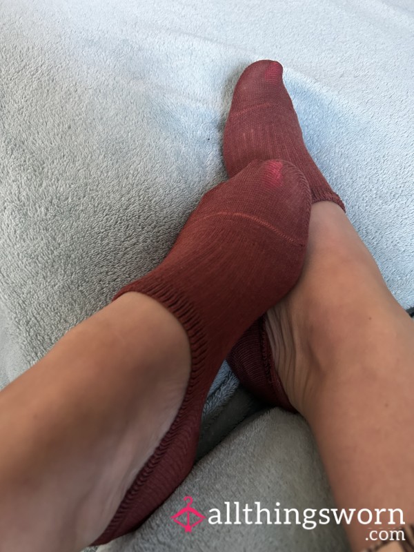 Maroon No Show Socks