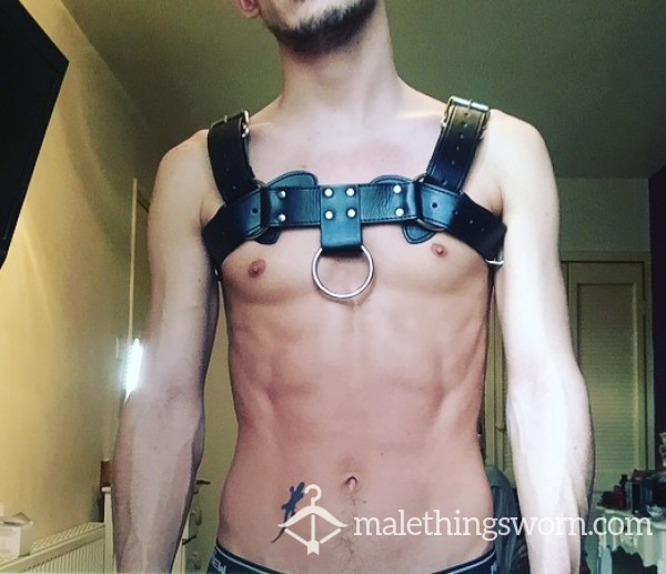 Men’s Harness