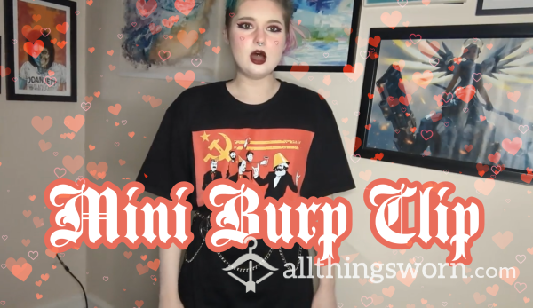 Mini Burp Clip - :05