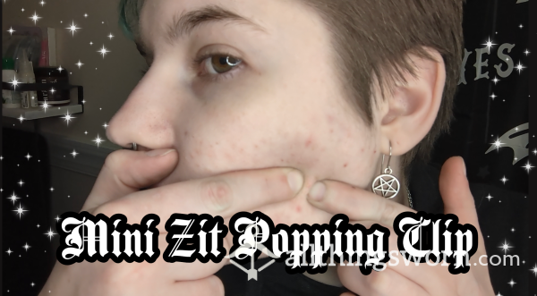 Mini Zit Popping Clip - 1:32