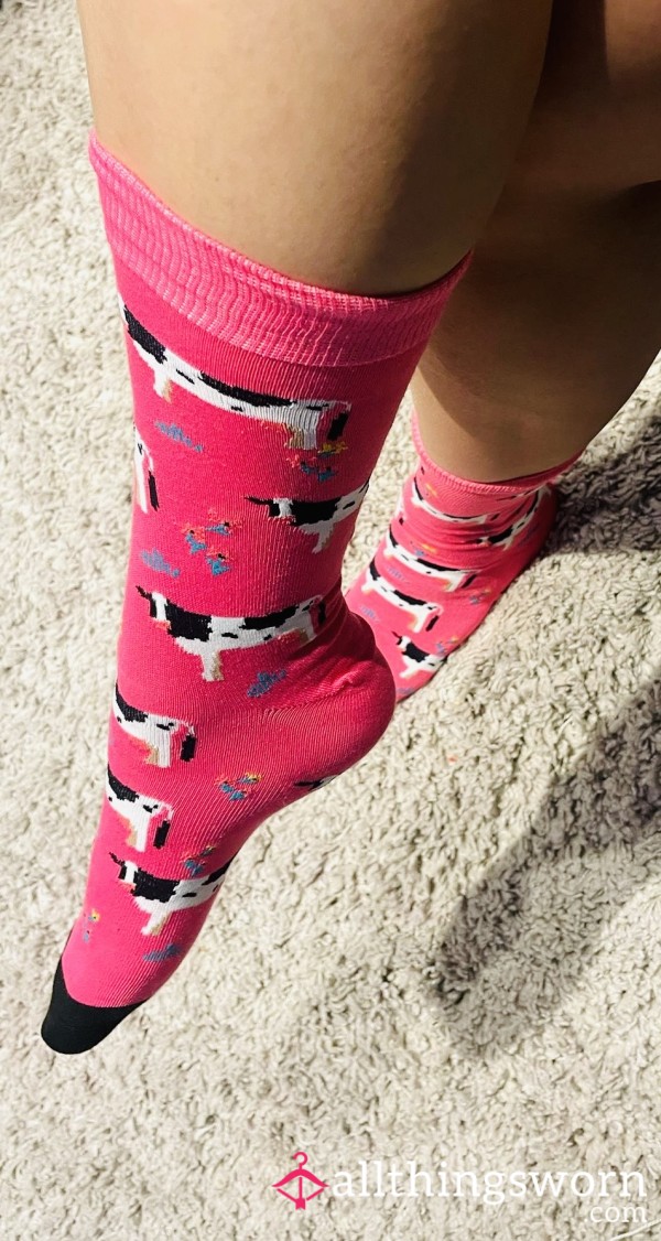 Mummies Little Moo Moo Socks