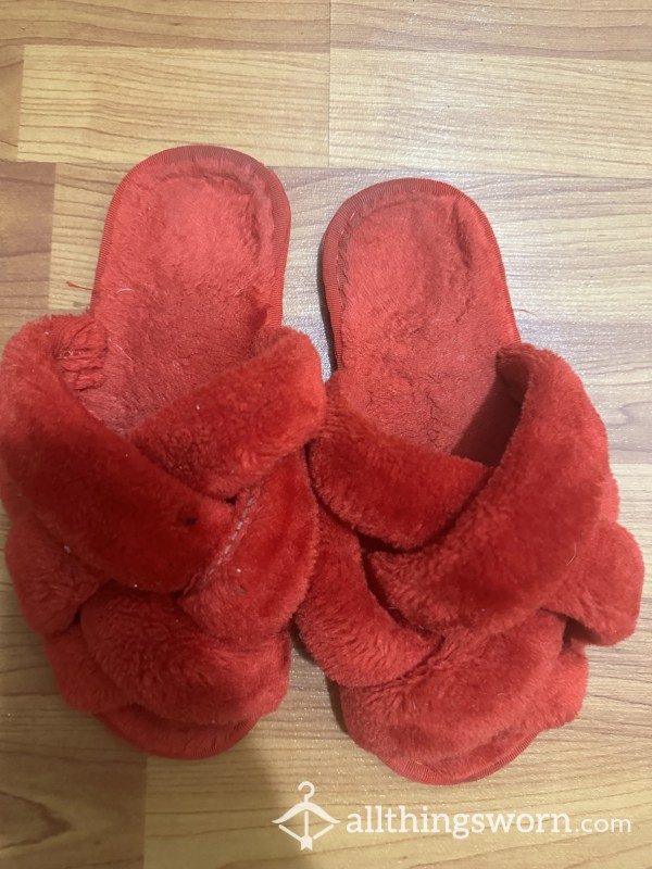 My Favorite Slippers