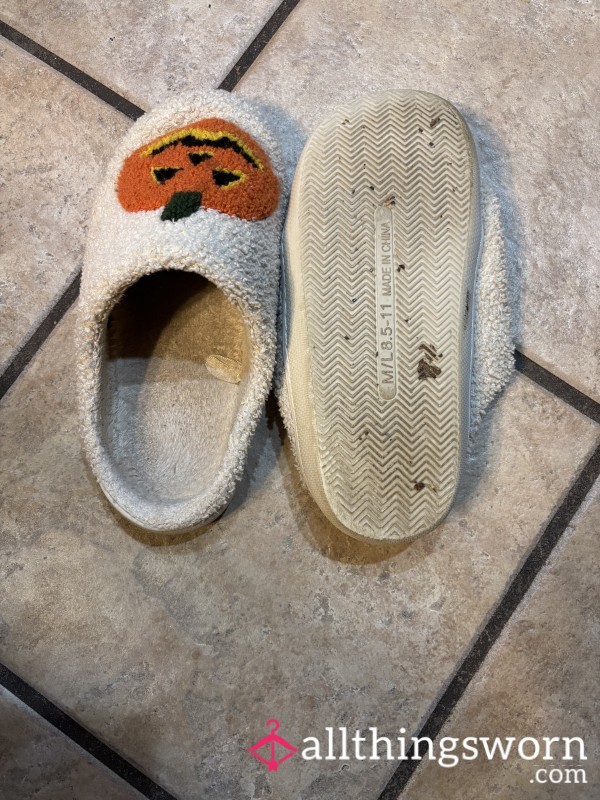 My Favorite Well Worn Slippers