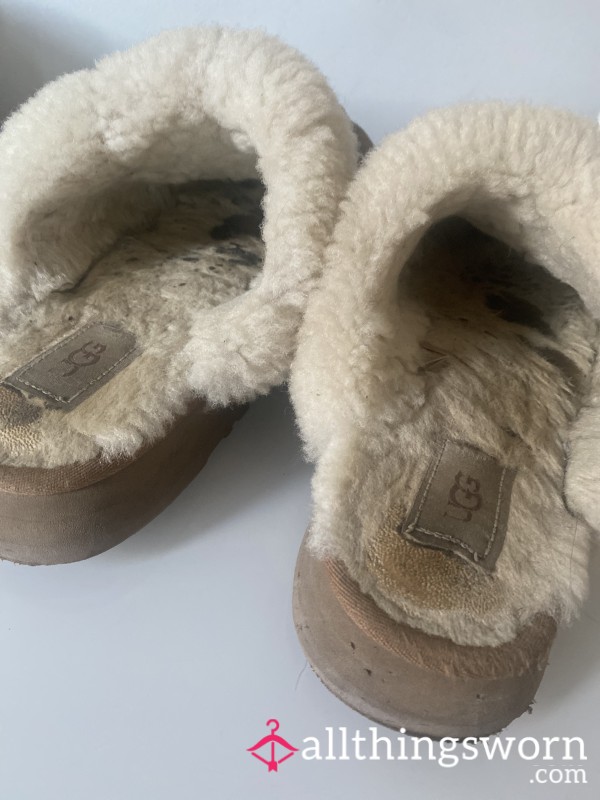 My Favourite Dirty Ugg Slippers Worn Daily