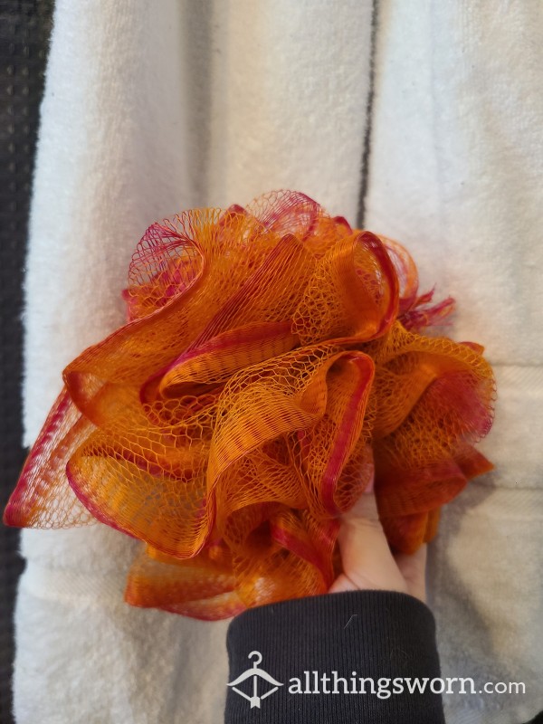 My Used Shower Loofah