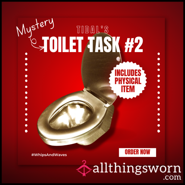 Mystery Toilet Task #2 | 𝗣𝗵𝘆𝘀𝗶𝗰𝗮𝗹 𝗜𝘁𝗲𝗺𝘀 𝗜𝗻𝗰𝗹𝘂𝗱𝗲𝗱