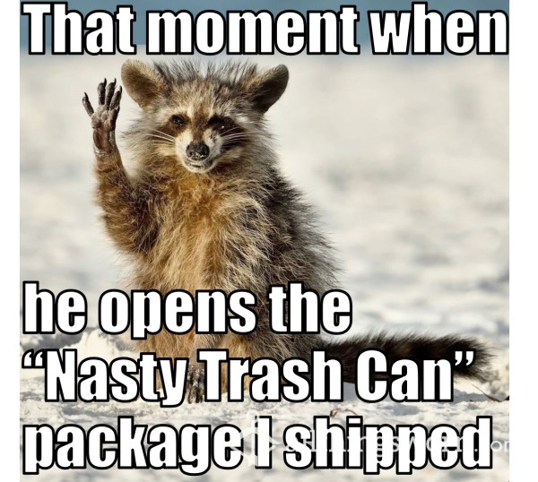 Nasty A** Trash Panda - Ultimate Disgusting Version!