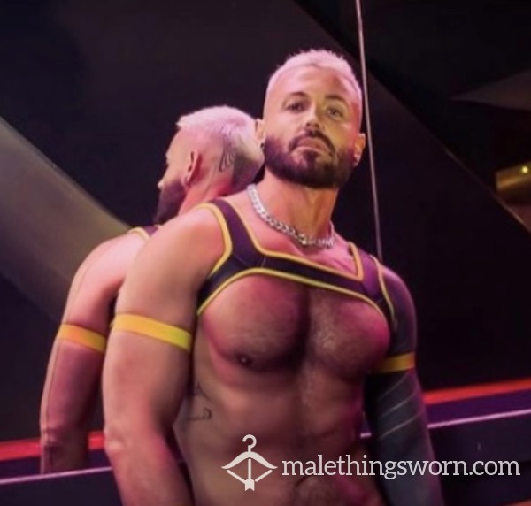 Neoprene Harness