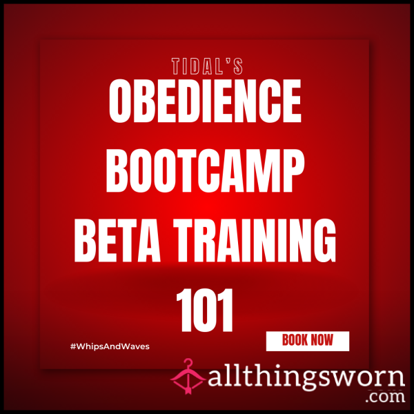 Obedience Bootcamp: Beta Training 101