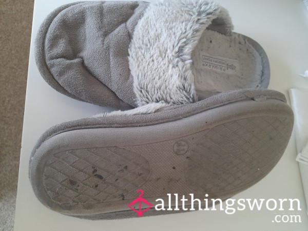 Old Grey Slippers