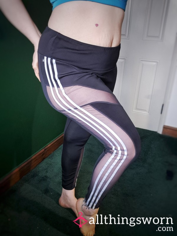 Old Gym Leggings, Gym Pants