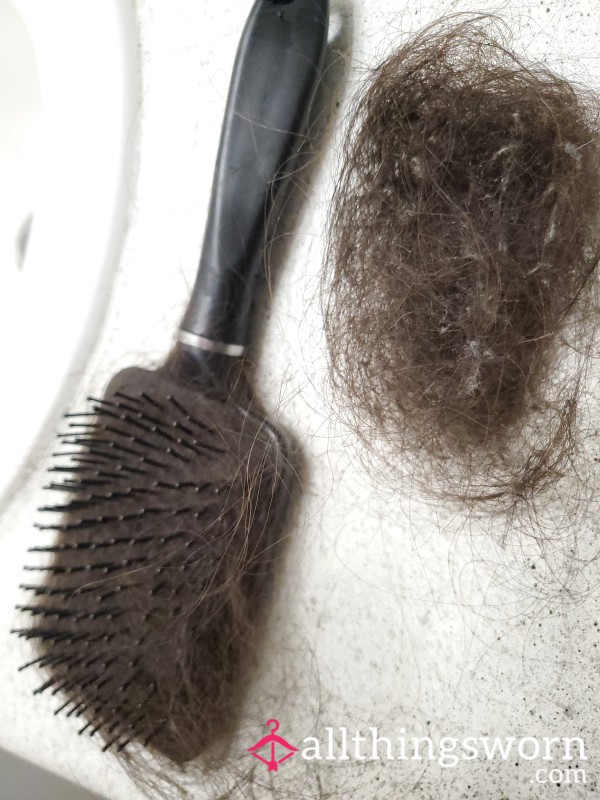 Old Long Hair From Hair Brush