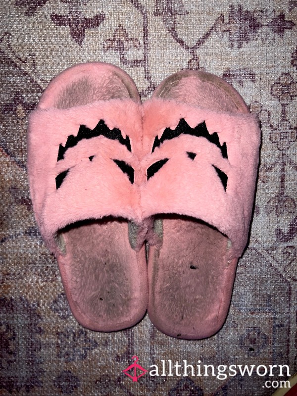 Old Smelly Slippers