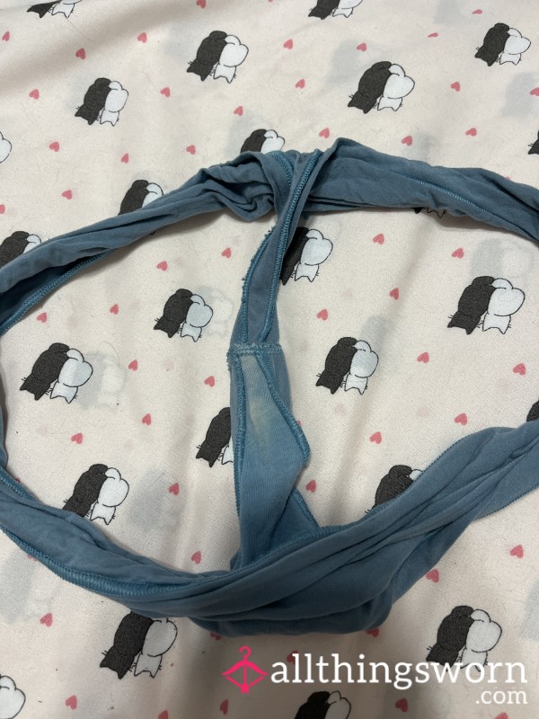 OLD Soft Aerie Blue Thong