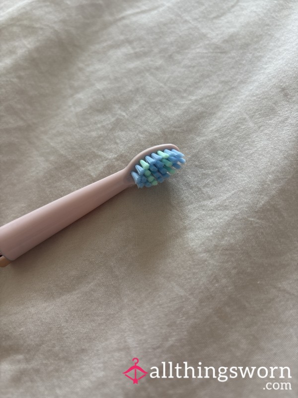 Old Toothbrush Head