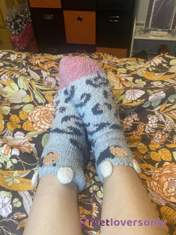 Old Used Fuzzy Socks Super Dirty And Worn