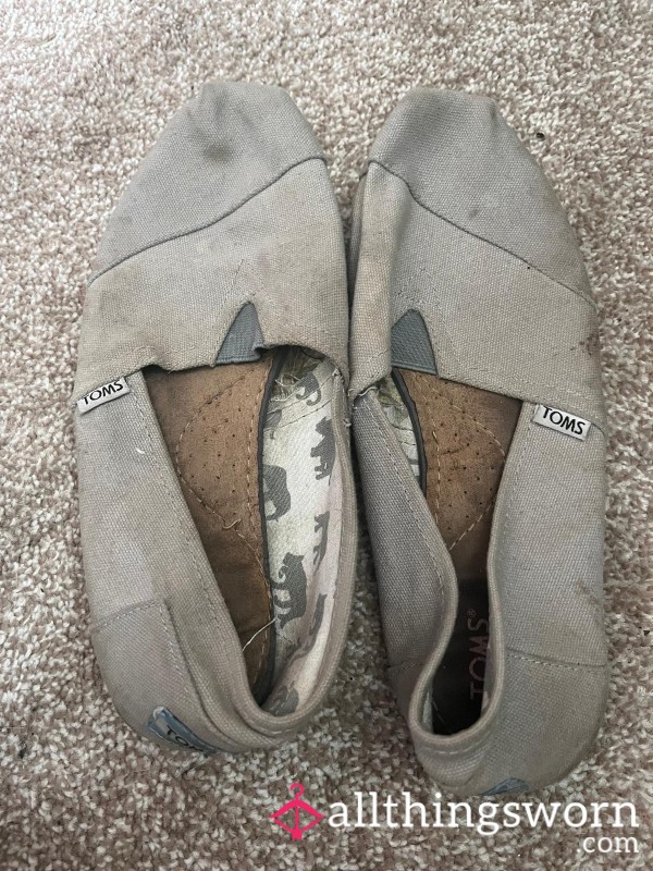 Old , Very Worn Toms - Trainers