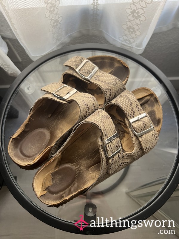 Old Well-Worn Dirty Torn Up Birkenstocks