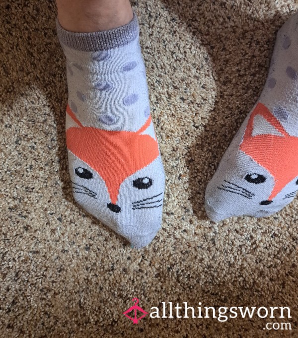 Old, Worn Out Fox Socks