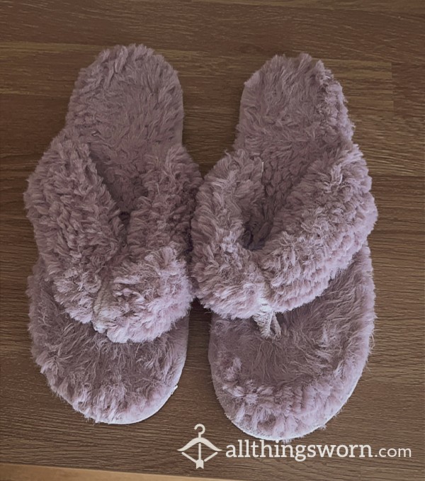 Old Worn Purple Slippers