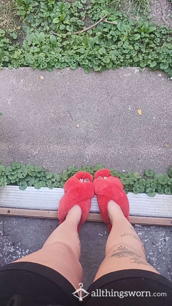 🎄Orange Slippers