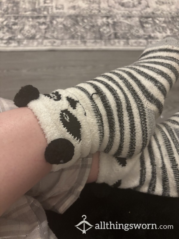 Panda Socks