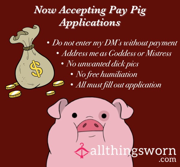 Pay Pig Application 💸🐷