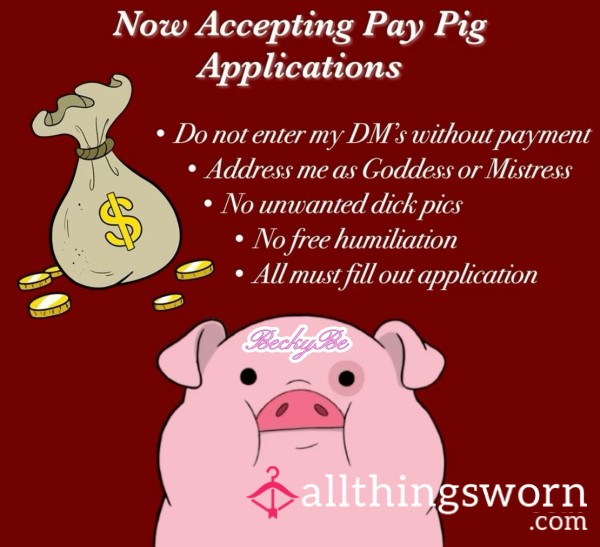 Pay Pig Application 🐽