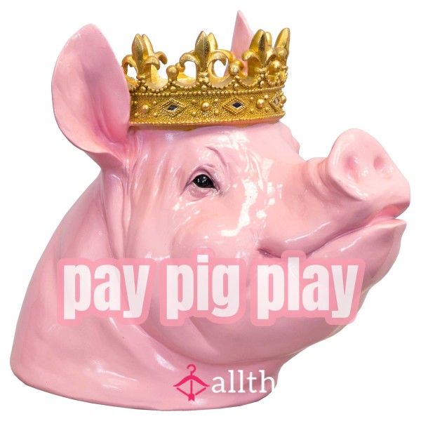 Pay Pig Application