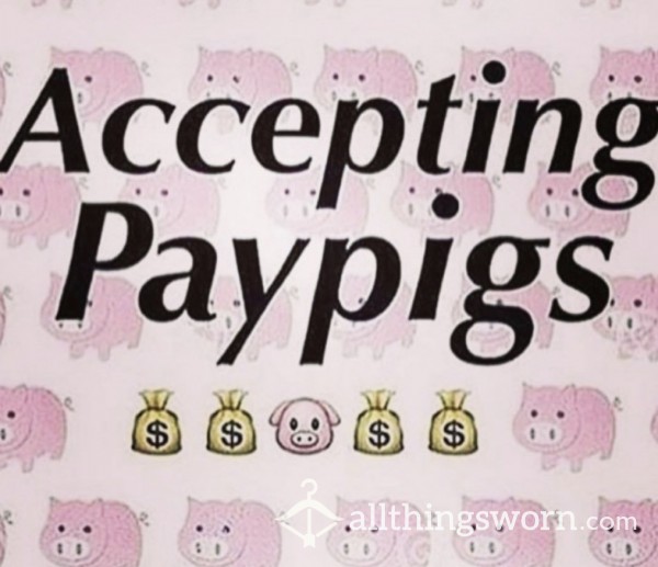 Pay Pig Wanted