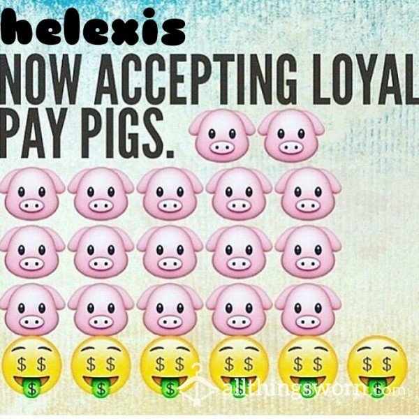 PAY PIGS NEEDED! 🤑🐷