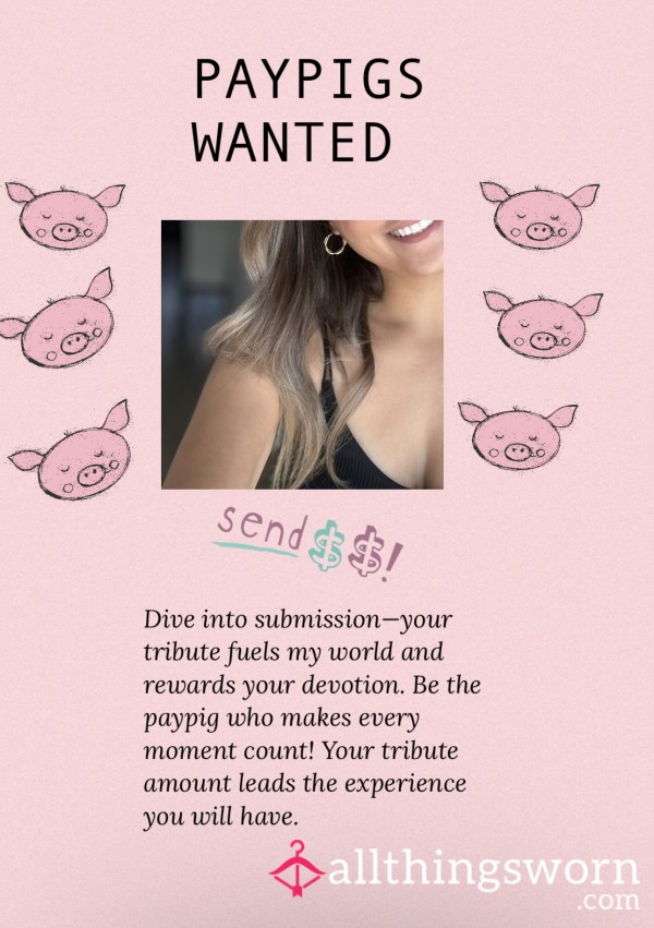 Paypigs Wanted