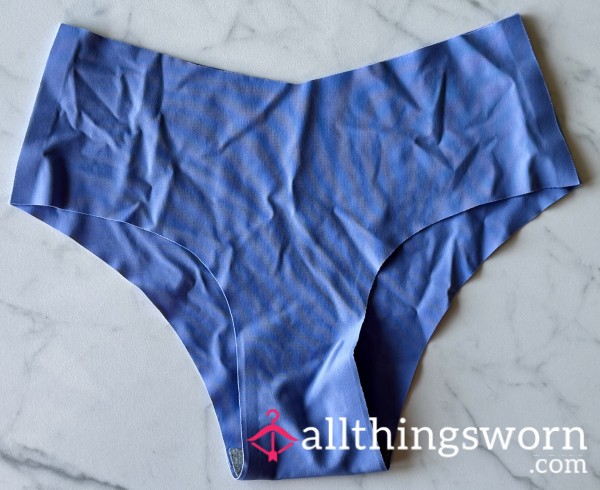 Periwinkle Nylon Panties