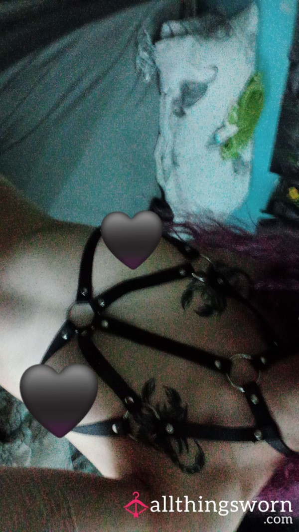 Pierced Nips In A Harness!!!