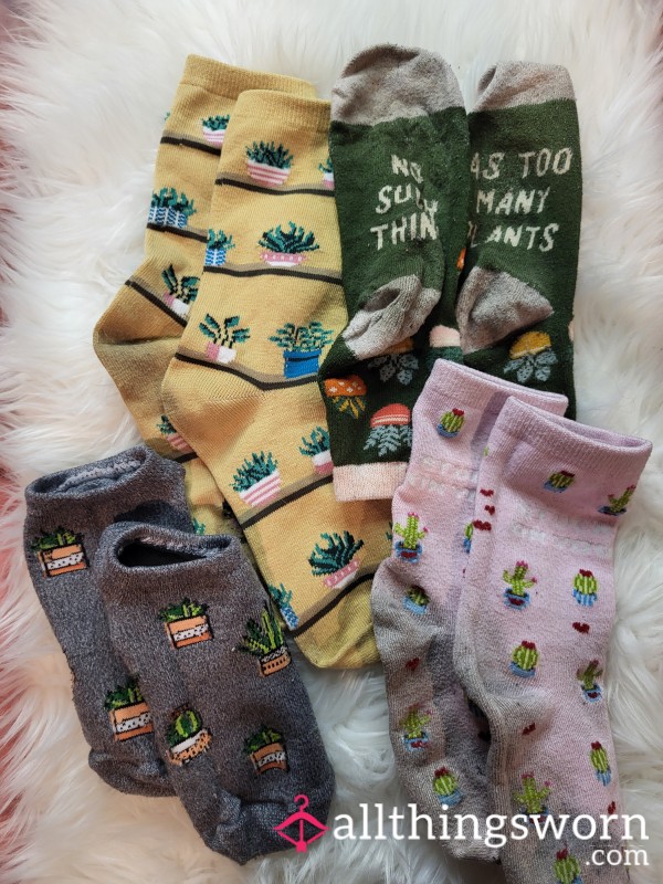 Plant Socks