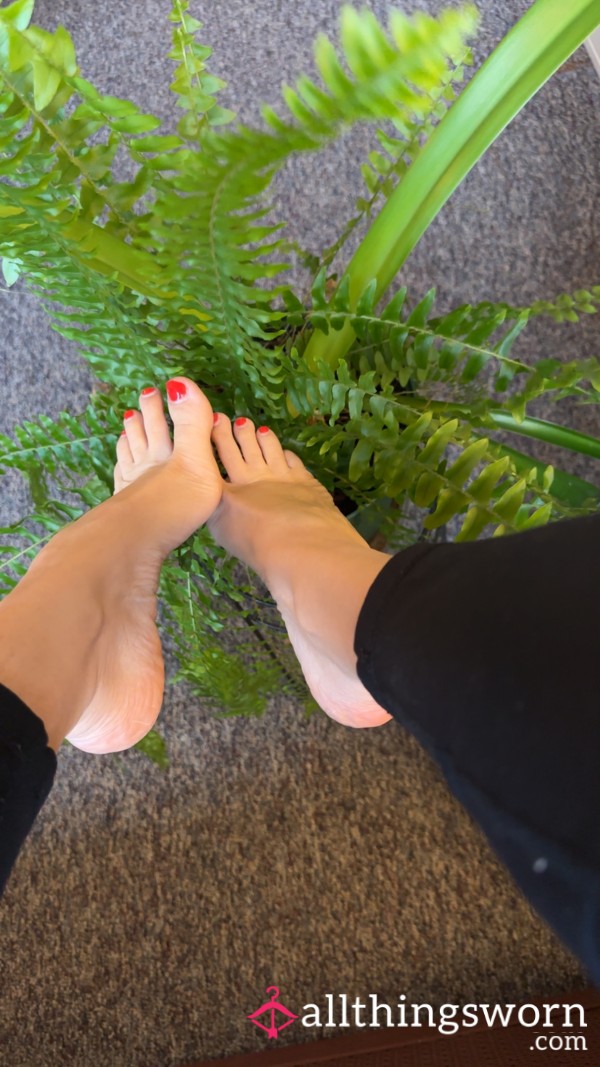 Plants And Toes