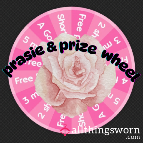 Praise And Prize Wheel