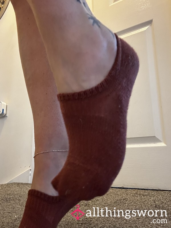 Brown Trainee Socks