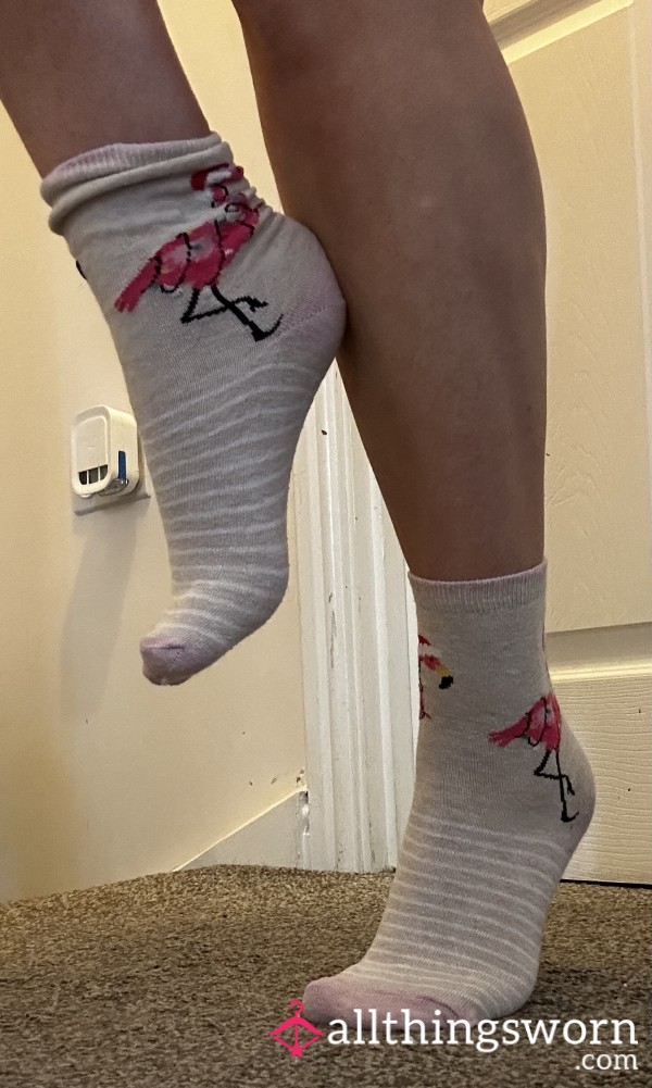 Flamingo Socks