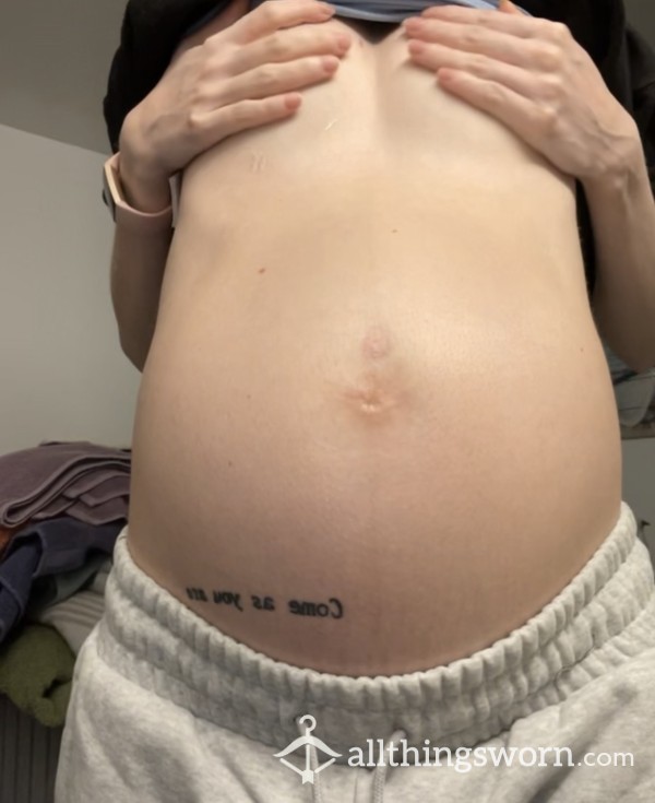 Pregnancy Google Dropbox. All 9 Months