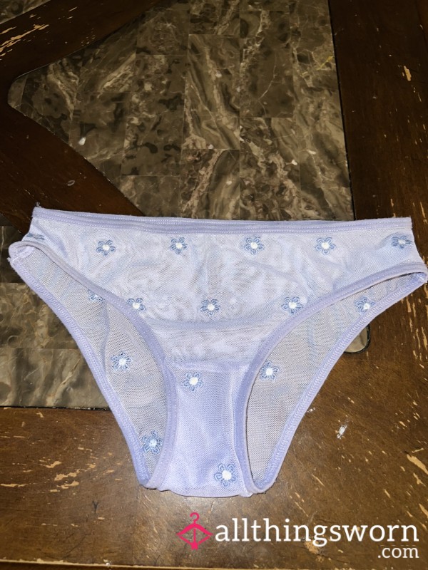 Pretty Purple See Thru Panties