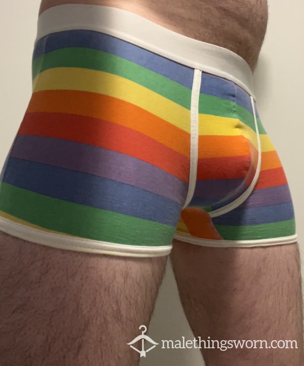 Le 31 Pride Boxer Briefs (M)