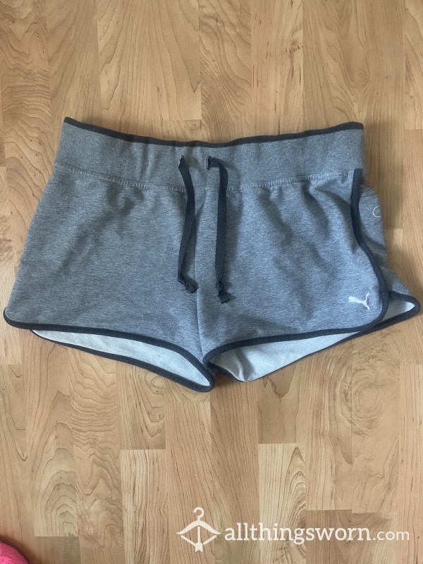 Puma Grey Shorts