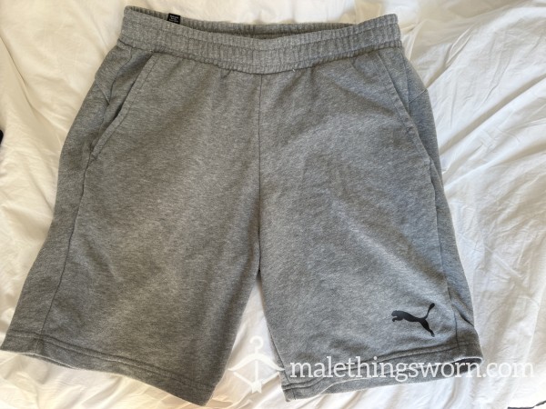 Puma Shorts - Large